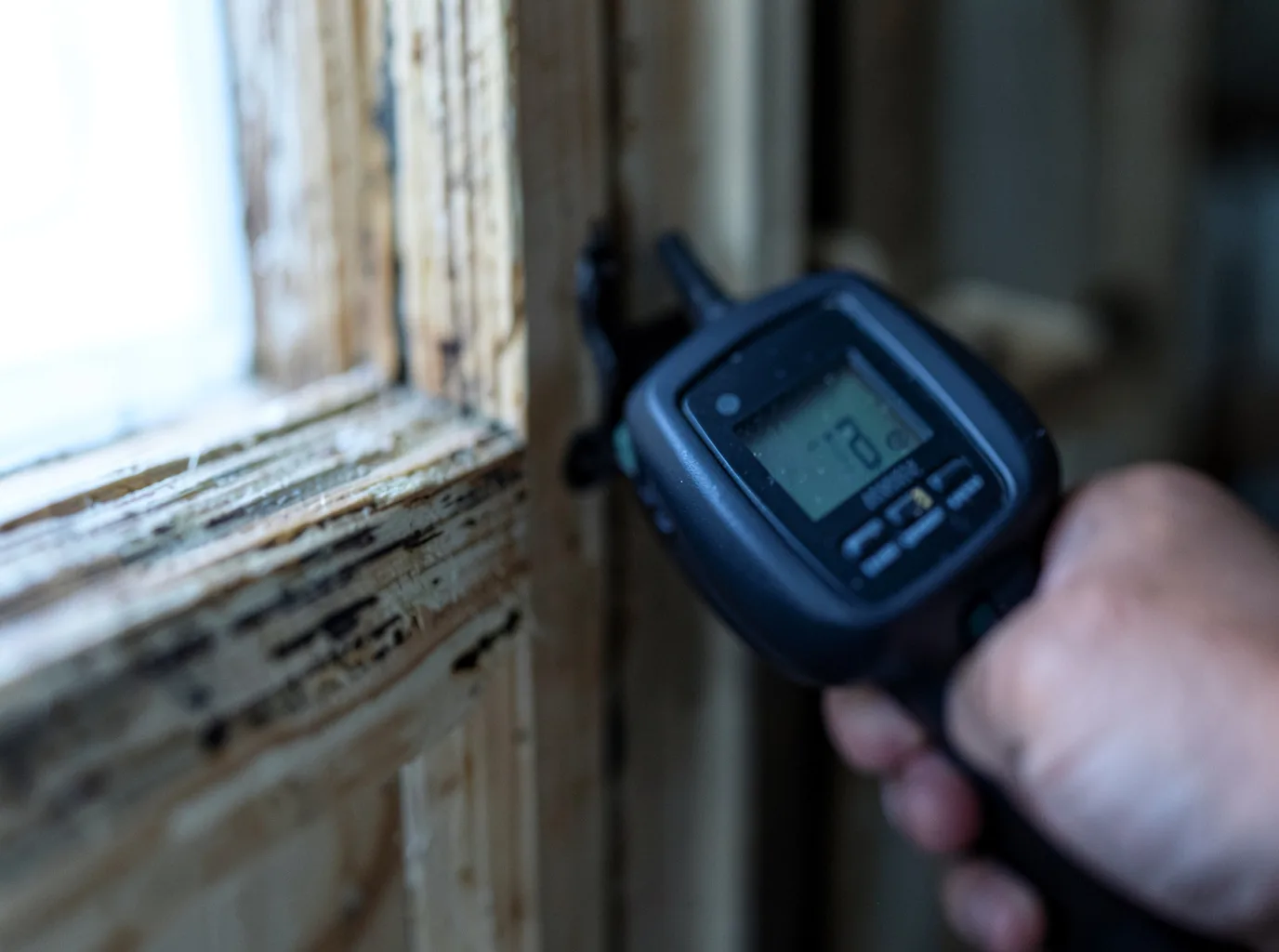 Moisture Inspection And Documentation in Pottsville, PA